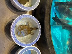 -魏铭鱼头捞饭(晋阳路店)