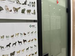 -四月宠物医院·猫专科·心脏专科·内科(转塘店)