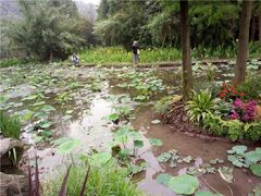 -重庆彩云湖湿地公园