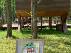 -黄海国家森林公园