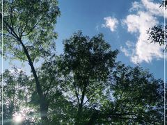 -天津市动物园