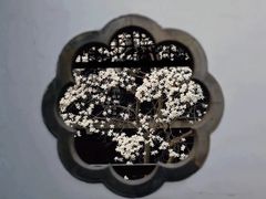 -何园