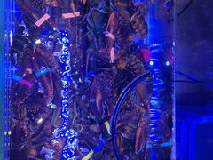 -雍和会海鲜姿造自助(湖东路店)