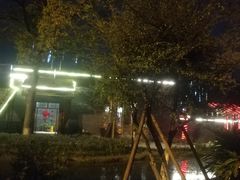 -成飞公园
