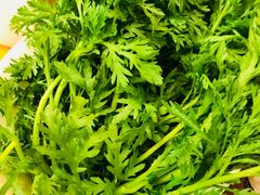 -老码头火锅(玉林店)