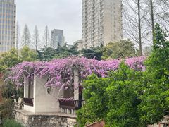 -郑和公园