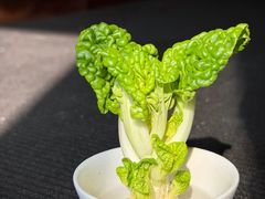 -巴奴毛肚火锅(朝阳大悦城店)