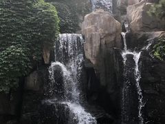-燕塞湖鸟语林景区