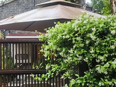 -民国红公馆·艺文空间(颐和路店)