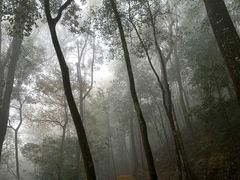-广州市石门国家森林公园