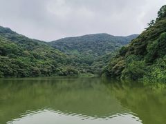 -黄埔油麻山森林公园