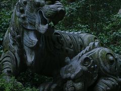 -虎跑公园