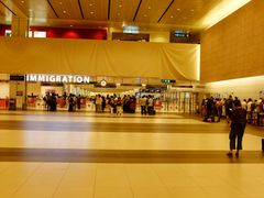 -新加坡航空公司(ION)