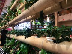 -椰夫人·养生椰子鸡(金沙洲永旺店)
