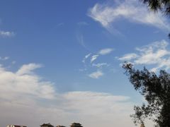 景点-龙舟池