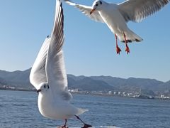 -海埂大坝