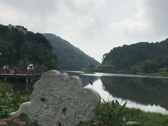 -广州市石门国家森林公园