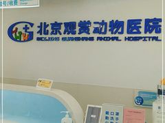 -北京观赏动物医院·24小时大型综合·猫专科·异宠专科