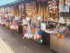 -日照灯塔风景区