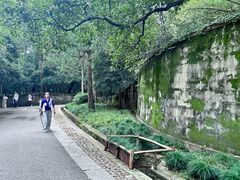 -灵谷景区
