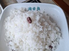 -淘米捞·米汤脆鲩鱼火锅(福田皇岗店)