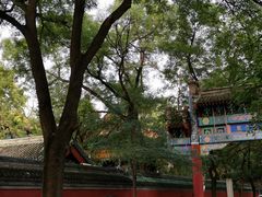 -北京国子监胡同