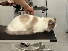 -comecome来吧宠物(奥克斯中心店)