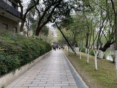 -沙市市中山公园
