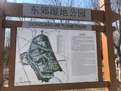-东郊湿地公园