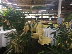 -红栌温泉山庄生态美食餐厅