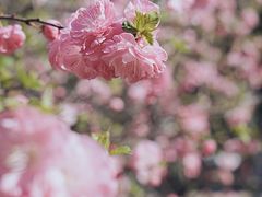 -山东师范大学(千佛山校区)