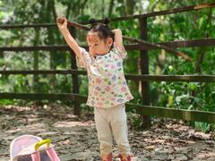 -铁山坪森林公园