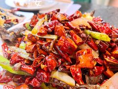 -福苗小骆驼烧烤(中关村店)