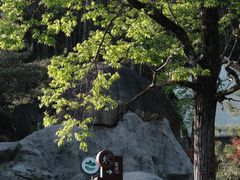 -大围山国家森林公园