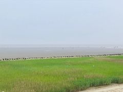 -南汇嘴观海公园