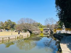 -江心屿景区