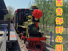 -西青郊野公园