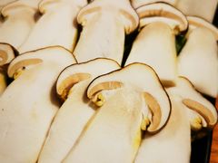 -大理老字号·舟渔的鱼野生菌海景餐厅(双廊店)