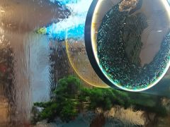 -57度湘(王府井10F店)