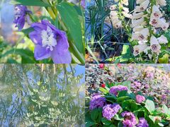 -人民公园(罗湖区)