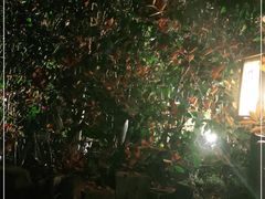 -庐山天沐温泉度假村