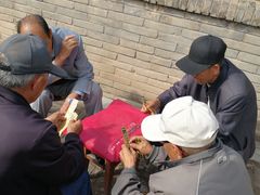 -南凉虎台遗址公园