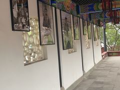 -丰都鬼城名山景区