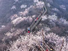 -大岭沟猕猴桃谷风景区