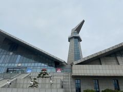 -盐城丹顶鹤湿地生态旅游区