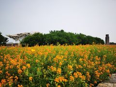 -江苏三台山国家森林公园