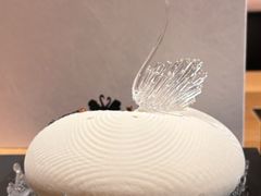 -BLACKSWAN黑天鹅(环球店)