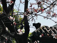 -北京颐和宾馆