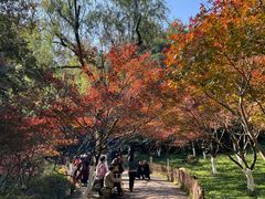 -岳麓山风景名胜区