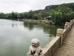 -苏州上方山国家森林公园